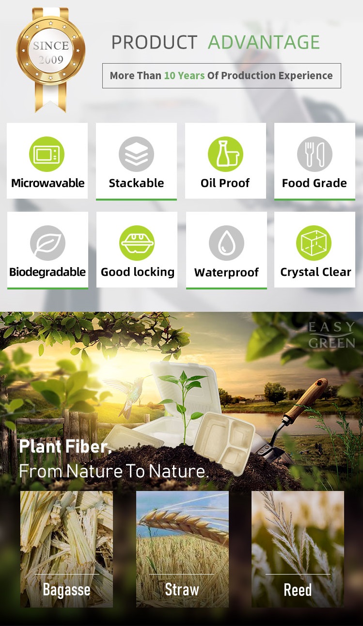 Disposable_Biodegradable_Sushi_Tray_Advantages.jpg
