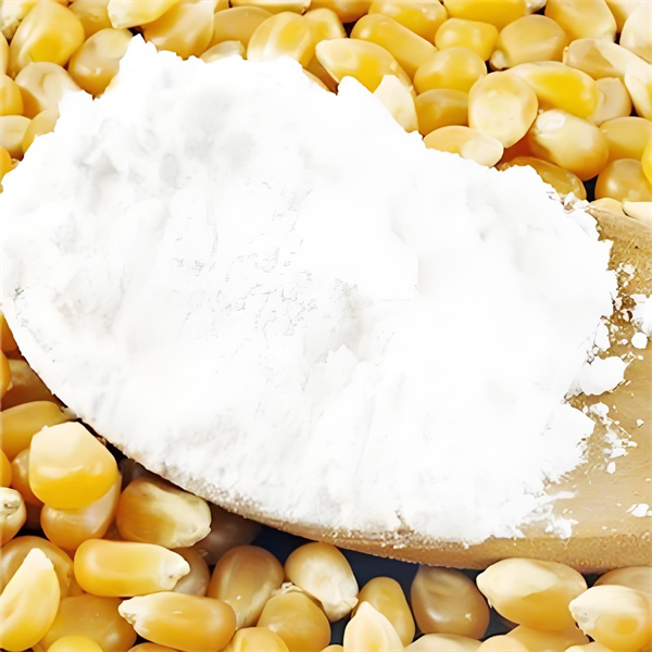 Corn_Starch_Food_Packaging.jpg