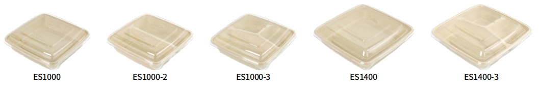 ES1000.png